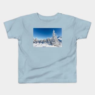 Winter mountain forest landscape, Tatry Mountains Kids T-Shirt